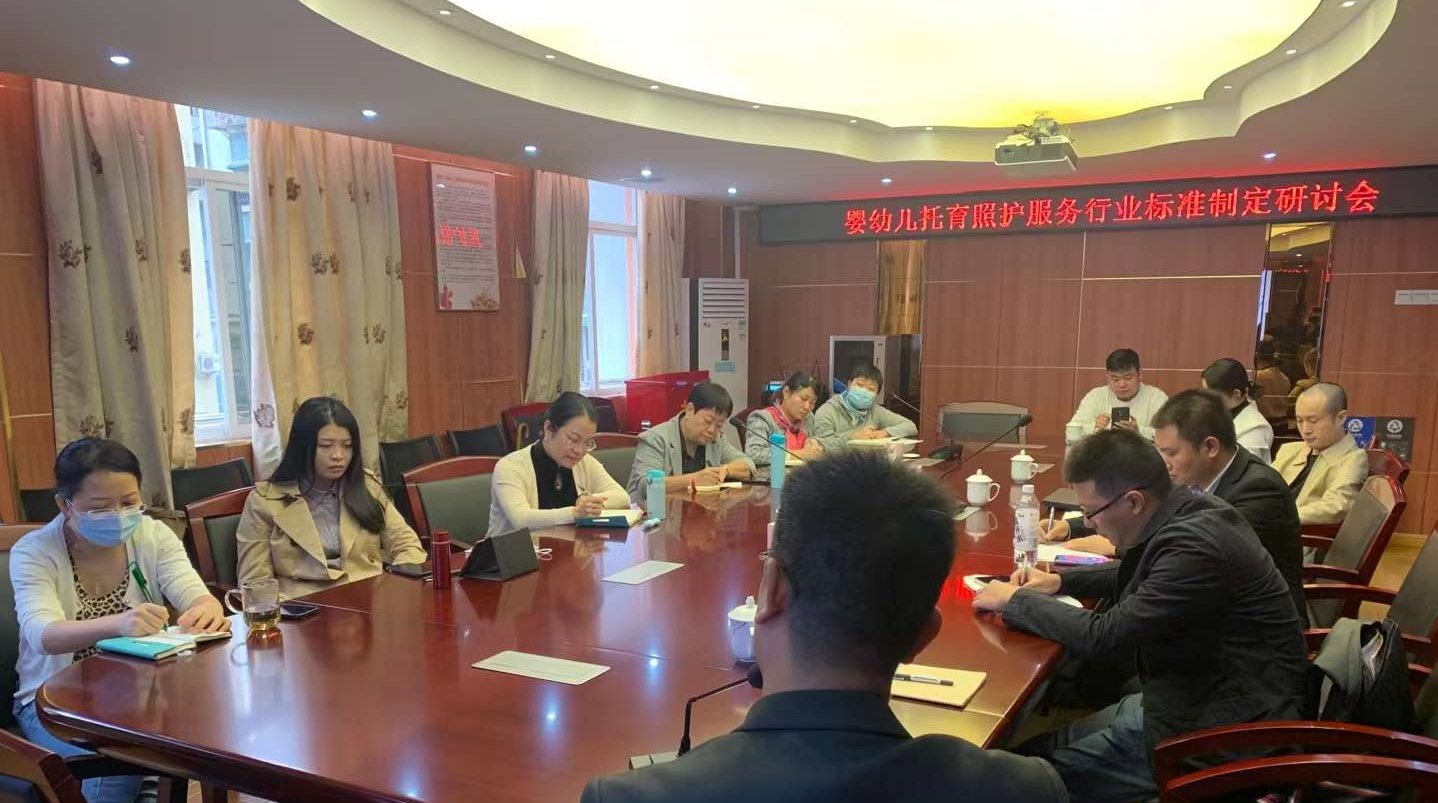 卫康安标（HSSC）参加广州市婴幼儿托育照护服务标准制定研讨会(图3)